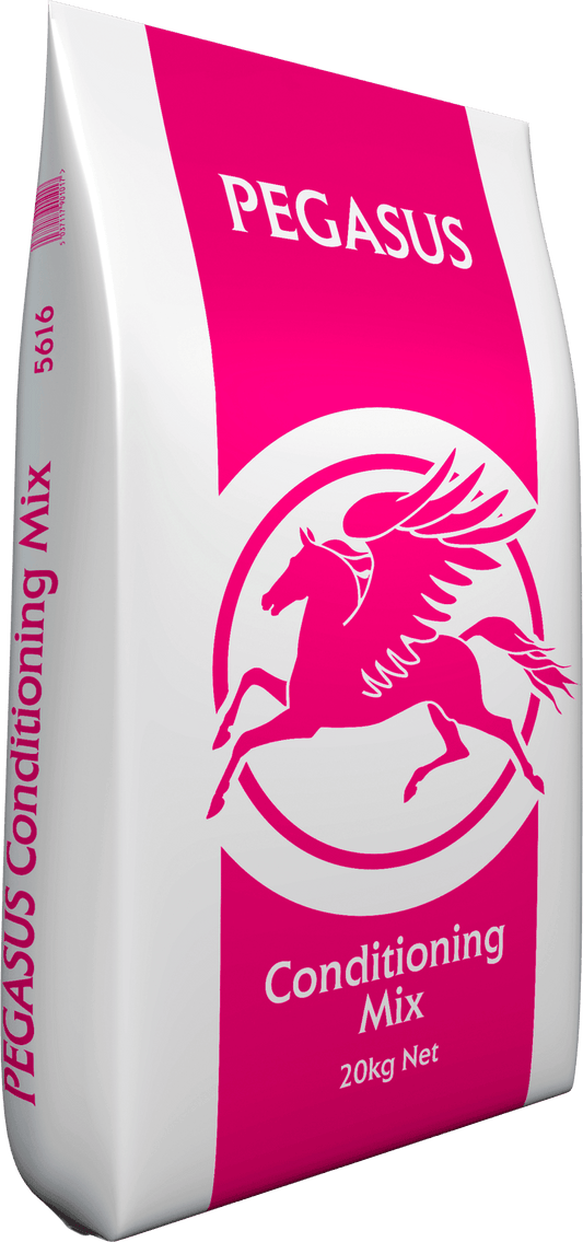Pegasus Conditioning Mix 20kg | Luxury Home Accessories | Heulog Glow
