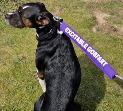 Personalised Dog Lead Sleeve | Luxury Home Accessories | Heulog Glow