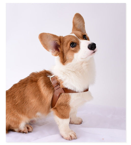 Pet Cat And Dog Chest Strap To Prevent Breakaway Out Of The Leash | Luxury Home Accessories | Heulog Glow