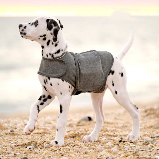 Pet Clothes Dog Anxiety Jacket Warm Vest | Luxury Home Accessories | Heulog Glow