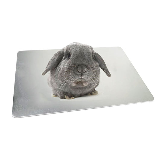 Pet Cooling Plate Aluminum Plate Rabbit Cooling Plate Guinea | Luxury Home Accessories | Heulog Glow