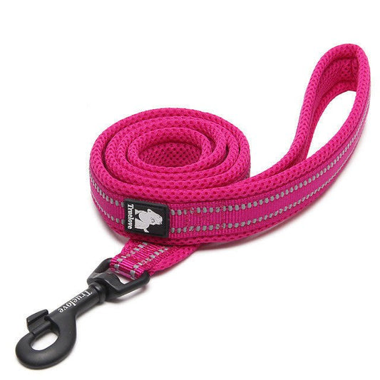 Pet dog leash | Luxury Home Accessories | Heulog Glow