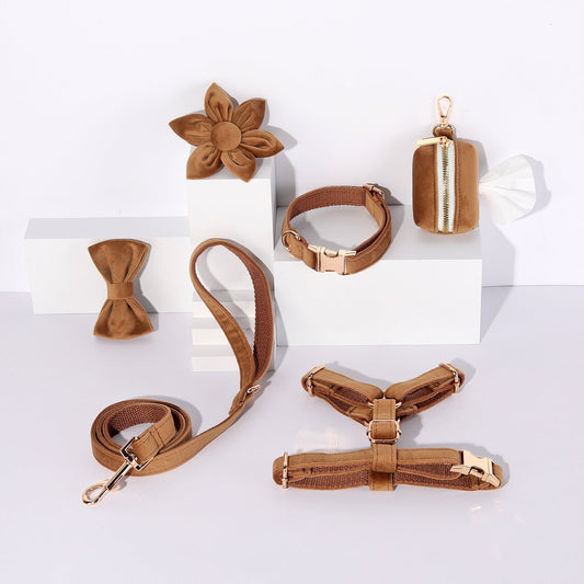 Pet Dog Lettering Collar Walking Velvet Hand Holding Rope | Luxury Home Accessories | Heulog Glow
