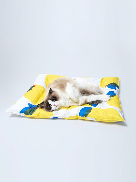 Pet Ice Pad Cooling Pad Gel Cooling Sleeping Pad Non-Sticky Dog Pad | Luxury Home Accessories | Heulog Glow