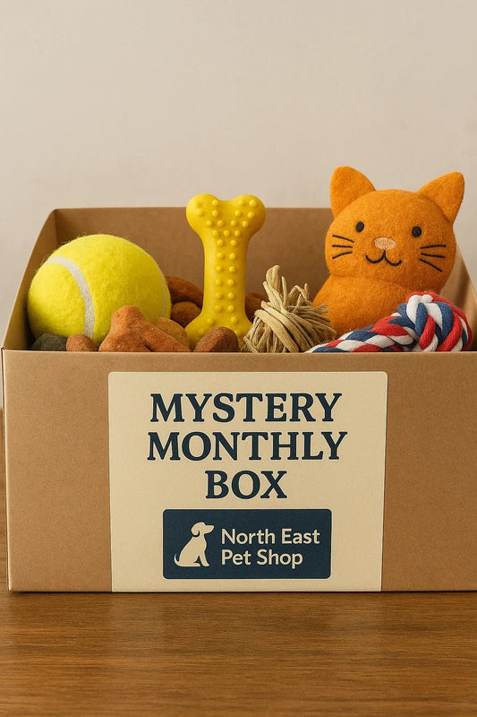 Pet Mystery Treat & Toy Box | Luxury Home Accessories | Heulog Glow