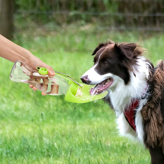 Portable Pet Water Dispenser Feeder Leak Proof With Drinking Cup Dish Bowl Dog Water Bottle | Luxury Home Accessories | Heulog Glow