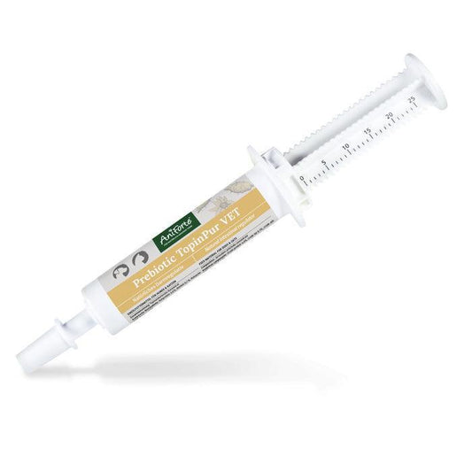 Prebiotic Jerusalem Artichoke Concentrate for Cats and Dogs - 30 ml - Natural intestinal regulator | Luxury Home Accessories | Heulog Glow
