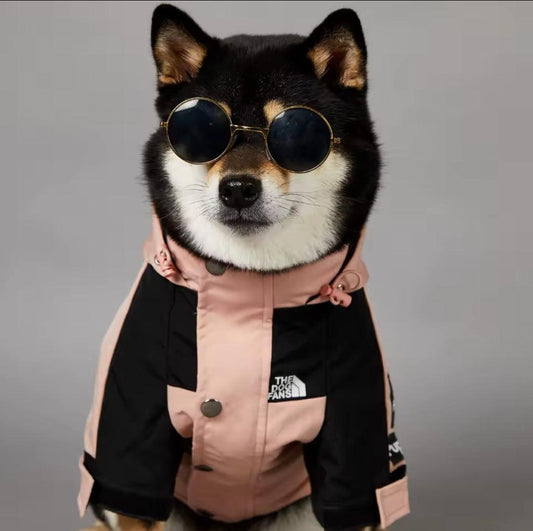 Pup Waterproof Dog Coat | Luxury Home Accessories | Heulog Glow