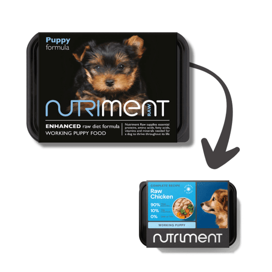 Puppy formula - from 6 weeks - 500g tub | Luxury Home Accessories | Heulog Glow