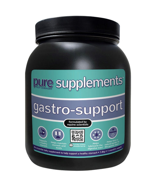 Pure Feed Gastro Support | Luxury Home Accessories | Heulog Glow