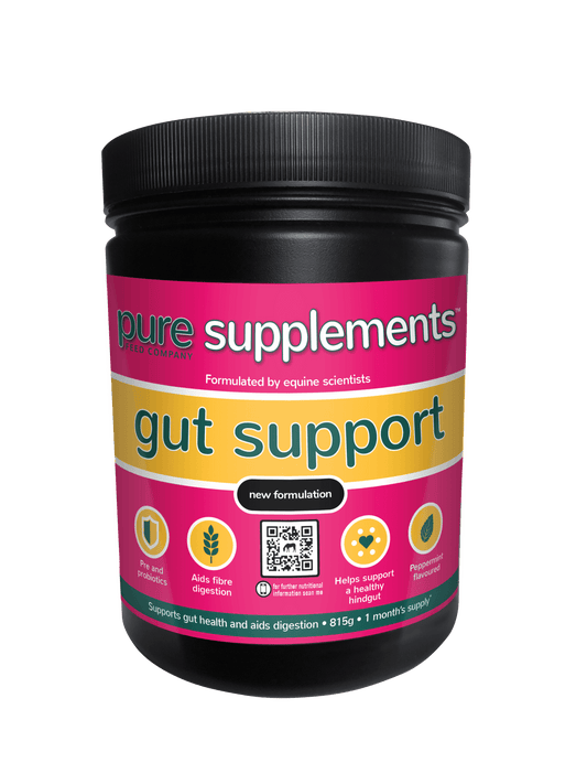 Pure Feed Gut Support | Luxury Home Accessories | Heulog Glow