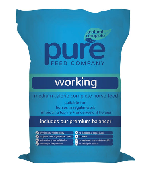 Pure Feed Pure Working | Luxury Home Accessories | Heulog Glow