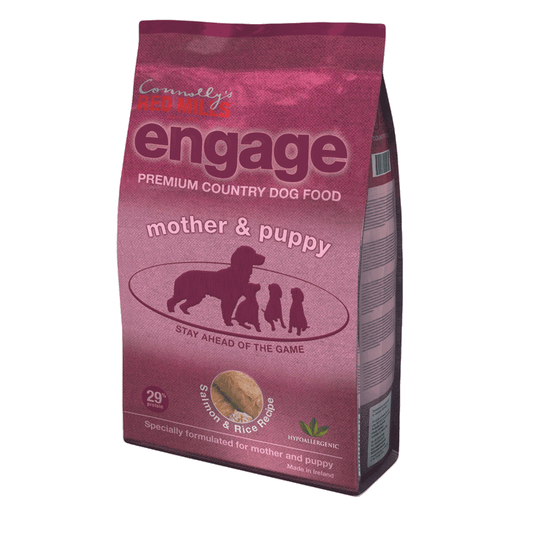 Red Mills Engage Mother & Puppy | Luxury Home Accessories | Heulog Glow