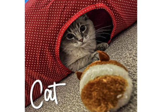 RED POLKA CAT TUNNEL | Luxury Home Accessories | Heulog Glow