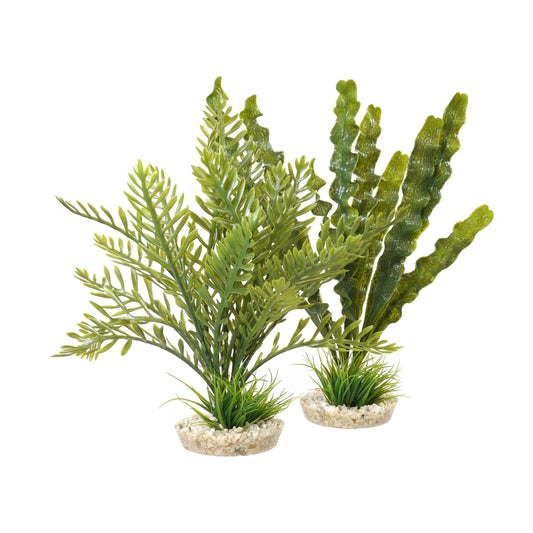 Rosewood Aponogeton/Hottonia Mix x4 | Luxury Home Accessories | Heulog Glow