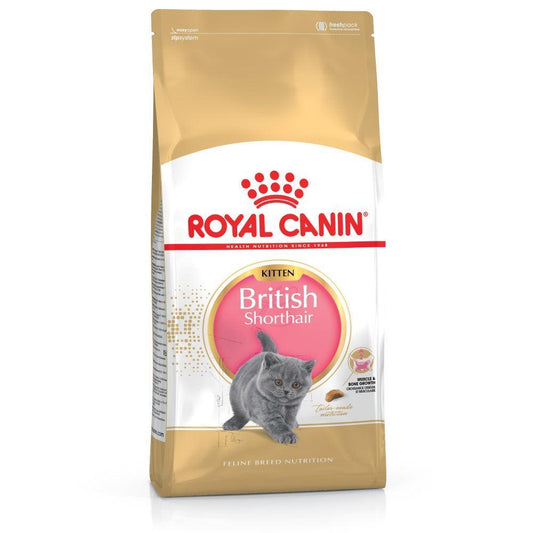 Royal Canin British Shorthair Kitten 2kg | Luxury Home Accessories | Heulog Glow