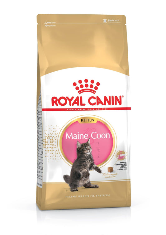 Royal Canin Maine Coon Kitten 2kg | Luxury Home Accessories | Heulog Glow