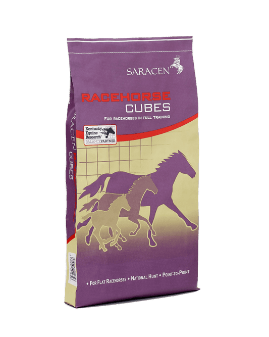 Saracen Racehorse Cubes | Luxury Home Accessories | Heulog Glow