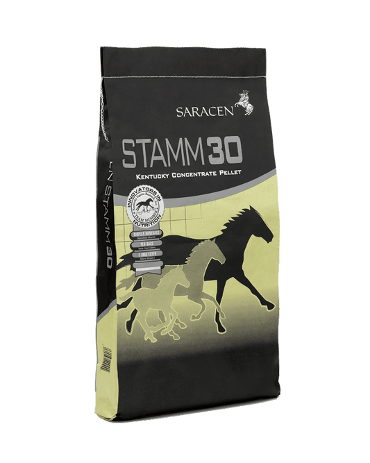 Saracen Stamm 30 | Luxury Home Accessories | Heulog Glow