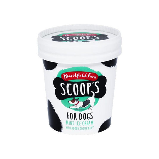 Scoops Mint Ice Cream for Dogs with joint aid supplement 125ml X 24 | Luxury Home Accessories | Heulog Glow
