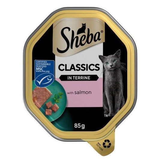 Sheba Tray Classic Terrine Salmon 22x85g | Luxury Home Accessories | Heulog Glow