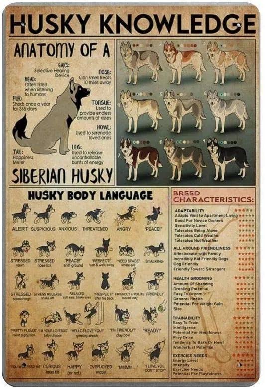 Siberian Husky Knowledge Tin Sign | Luxury Home Accessories | Heulog Glow