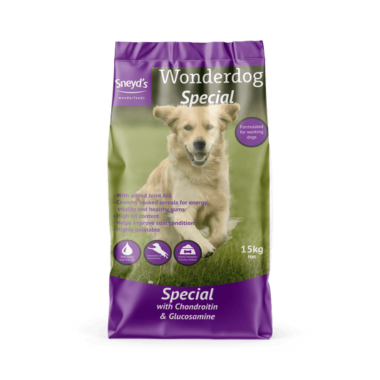 Sneyds Wonderdog Special | Luxury Home Accessories | Heulog Glow