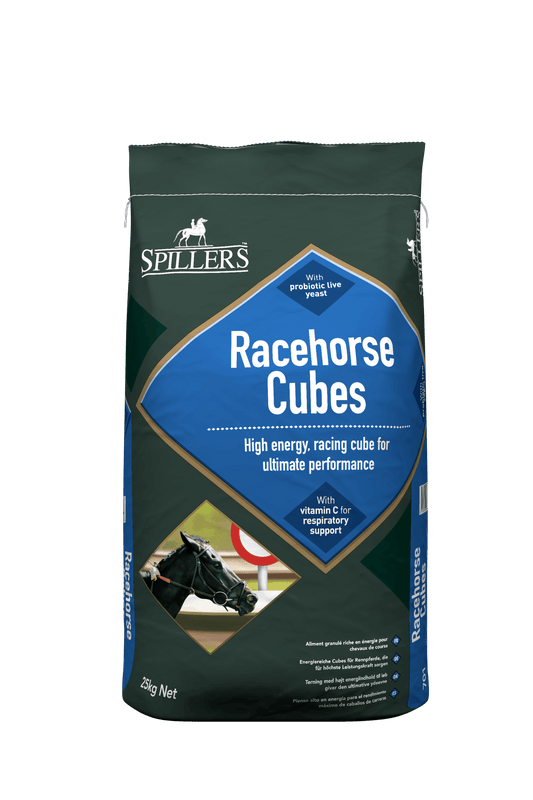 Spillers Racehorse Cubes | Luxury Home Accessories | Heulog Glow