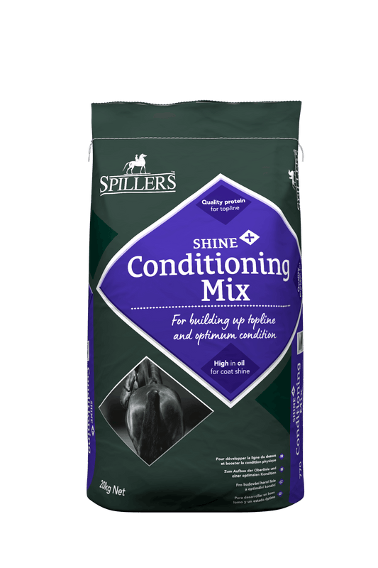 Spillers Shine + Conditioning Mix | Luxury Home Accessories | Heulog Glow