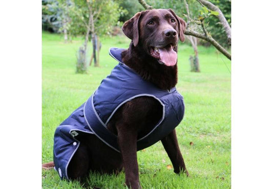 Stormguard Dog Coat Navy XL | Luxury Home Accessories | Heulog Glow