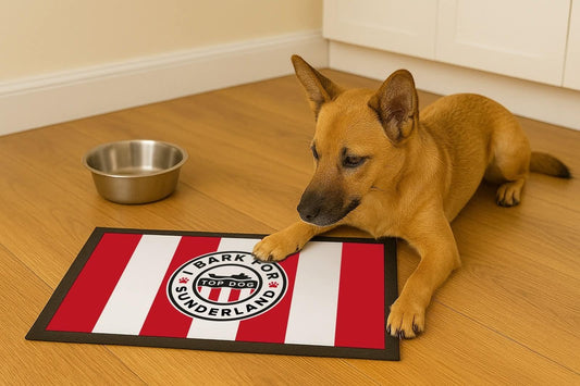 Sunderland SAFC Dog Feeding Mat | Luxury Home Accessories | Heulog Glow