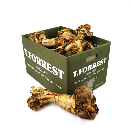 T Forrest Roast 'Jurrasic' Whole Bone | Luxury Home Accessories | Heulog Glow