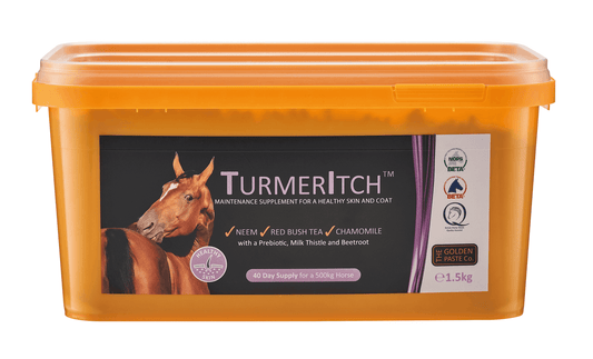 The Golden Paste Co TurmerItch | Luxury Home Accessories | Heulog Glow