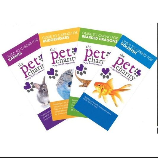 The Pet Charity Guide To Caring For Chipmunks | Luxury Home Accessories | Heulog Glow