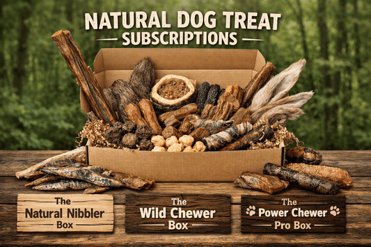 The Wild Chewer Box | Luxury Home Accessories | Heulog Glow