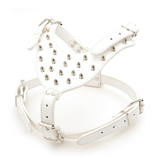 Three Piece Pet Rivet Set | Luxury Home Accessories | Heulog Glow