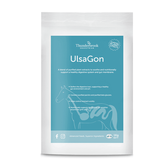Thunderbrook Equestrian Ulsagon 1kg | Luxury Home Accessories | Heulog Glow