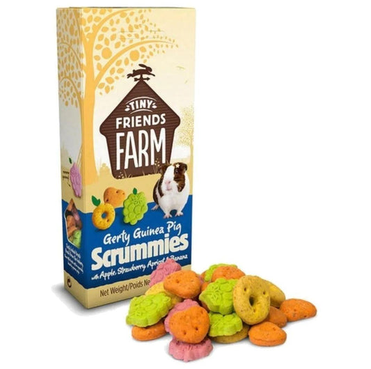 Tiny Friends Farm Gerty Guinea Pig Scrummies | Luxury Home Accessories | Heulog Glow