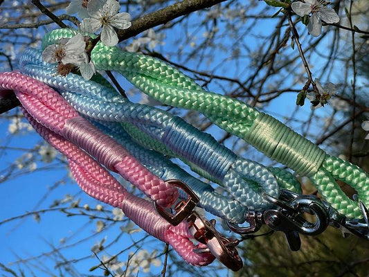 Twisted Collar - Handmade Paracord Dog Collar | Luxury Home Accessories | Heulog Glow