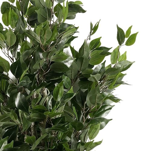 110cm Leaf Realistic Artificial Ficus Tree / Plant Gold Curve Planter