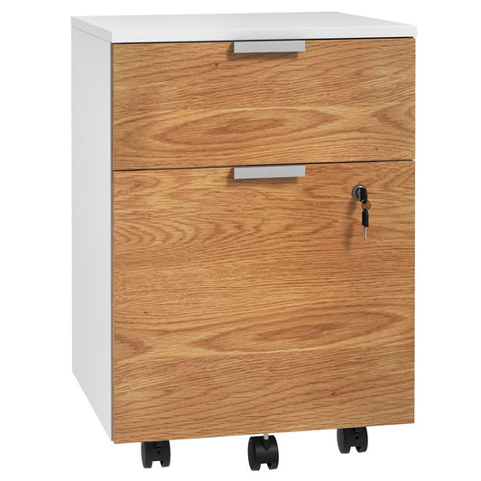 HOMCOM 2 Drawer Filing Cabinet with Adjustable Hanging Bars for A4 and Letter