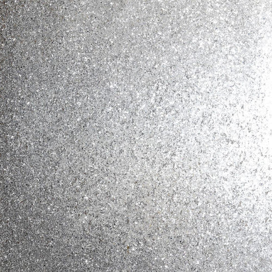 Sequin Sparkle Silver sw9