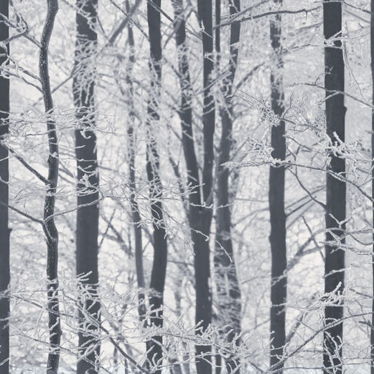 Premium Frosted Wood Silver SW12 - Impeccable Quality!