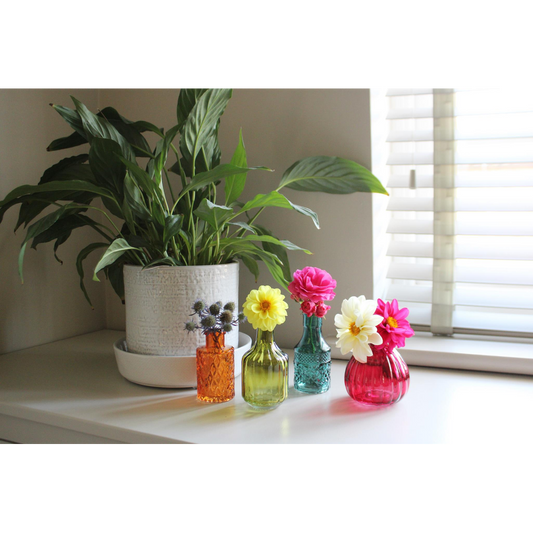 Premium Boho Posy Vase Bottles - Set of 4 | High-quality Glass | Stunning Décor