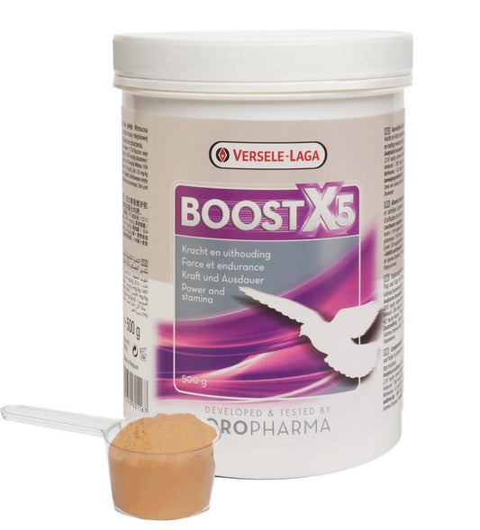 Versele Laga Boost X5 500g | Luxury Home Accessories | Heulog Glow