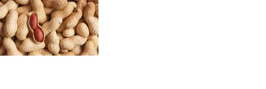 Vital Peanuts in Shells 10kg | Luxury Home Accessories | Heulog Glow