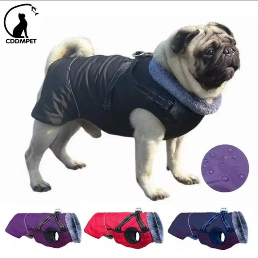Waterproof Harness Coat | Luxury Home Accessories | Heulog Glow