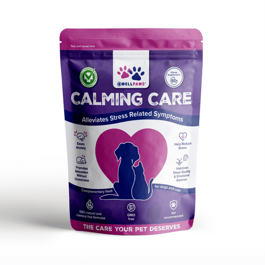 WellPaws Calming Care Chewable 180g | Luxury Home Accessories | Heulog Glow