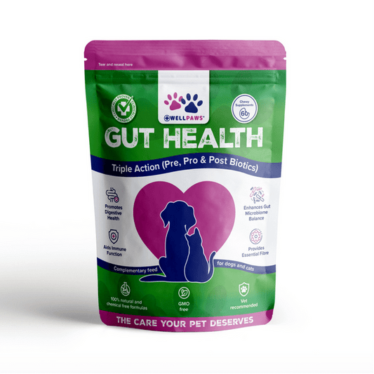 WellPaws Gut Health Triple Action Chewable 180g | Luxury Home Accessories | Heulog Glow
