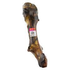 Whole T Rex Bone | Luxury Home Accessories | Heulog Glow